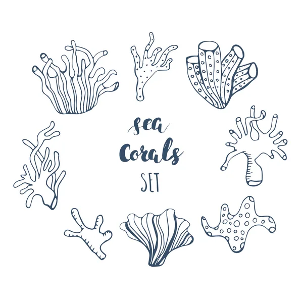 Conjunto de elementos de recifes de corais subaquáticos desenhados à mão. Design de vetores para sua ilustração da vida marinha. Azul, rosa, verde, coral laranja sobre fundo branco . —  Vetores de Stock