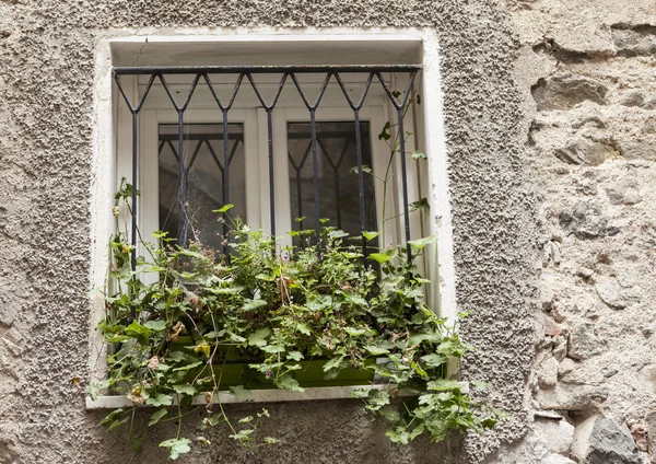 Παλιό παράθυρο με τα κλειστά παραθυρόφυλλα με λουλούδια στο περβάζι του παραθύρου στον πέτρινο τοίχο. Ιταλικό χωριό — Φωτογραφία Αρχείου