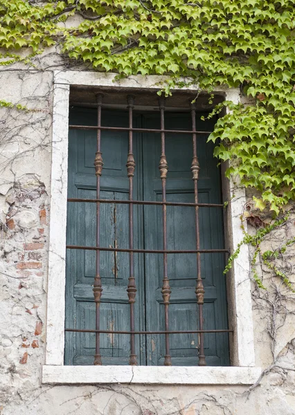 Vieja ventana con persianas cerradas en el alféizar de la ventana con hiedra en la pared de piedra. Pueblo italiano — Foto de Stock