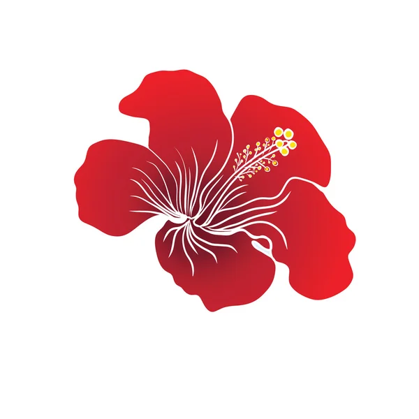 Red Hibiscus flower on white background. Vector illustration. Can be used for logo, logotype, sticker, web, print and other design. — Stock Vector