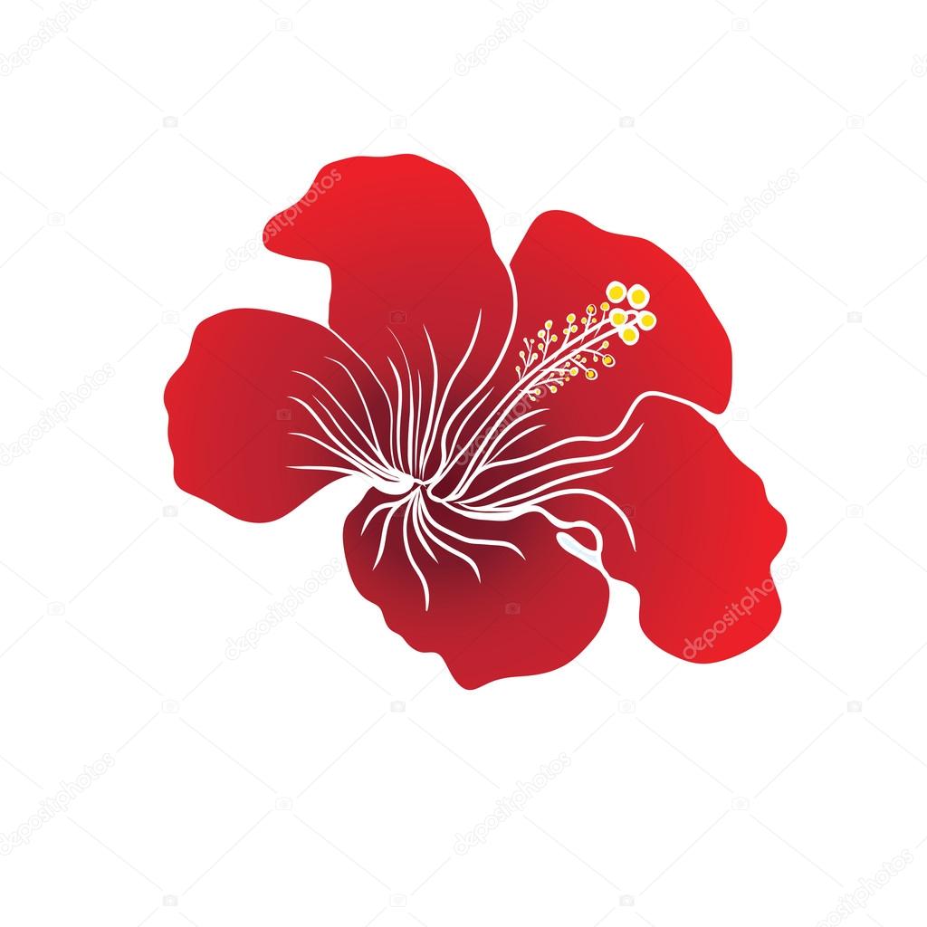 Red Hibiscus flower on white background. Vector illustration. Can be used for logo, logotype, sticker, web, print and other design.