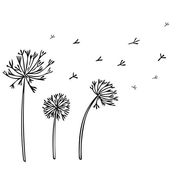 Abstract Dandelion Background with black flowers on white background. — Stock Vector