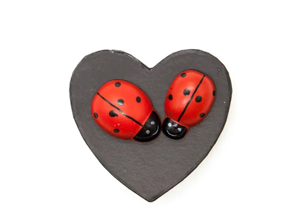 Een Prachtig Zwart Hart Een Paar Lieveheersbeestjes Valentijnsdag Witte Achtergrond — Stockfoto