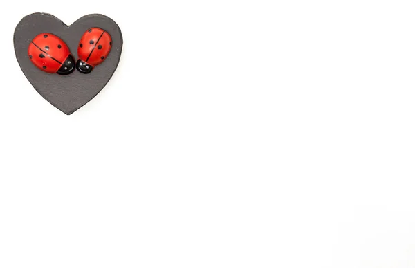 Beautiful Black Heart Pair Ladybugs Valentine Day White Background Congratulations — Stock Photo, Image