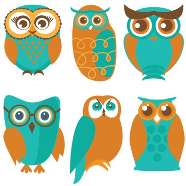 Sevimli baykuşlar ve kuşlar