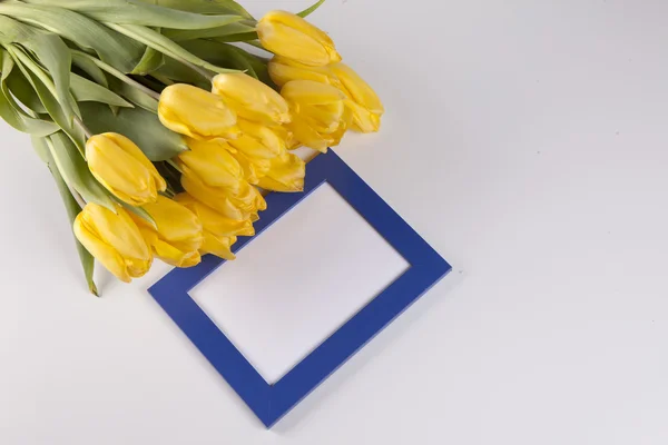 Bouquet of yellow tulips with blue photo frame, nice background for congratulations — Stock Photo, Image