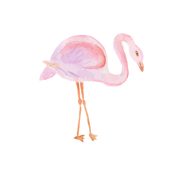 Padrão sem costura aquarela com pássaro flamingo . —  Vetores de Stock