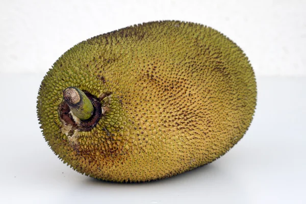 Large ripe jackfruit. India Goa. — Stock Photo, Image