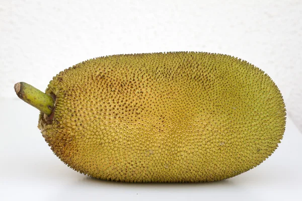 Большой спелый джекфрут. Гоа, Индия . — стоковое фото
