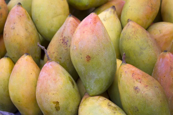 Manga suculenta fresca no mercado na Índia Goa — Fotografia de Stock