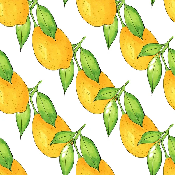 Seamless Lemon árvore ramo, pintura aquarela sobre fundo branco, ilustração vetorial . — Vetor de Stock