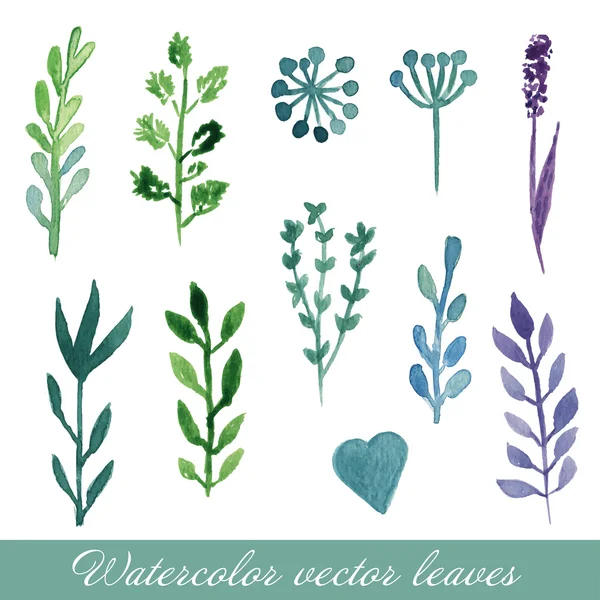 Conjunto floral aquarela. Conjunto de plantas desenhadas à mão e flores para design . —  Vetores de Stock