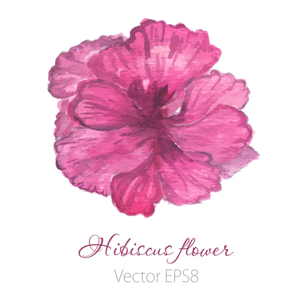 Akvarell målat vektor hibiscus. Tropisk blomma. Violet vektor blomma. — Stock vektor