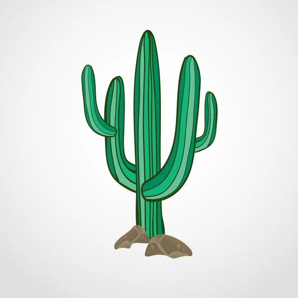 Illustration vectorielle de cactus isolés sur fond blanc. Ouest sauvage ou icône de thème cow-boy — Image vectorielle