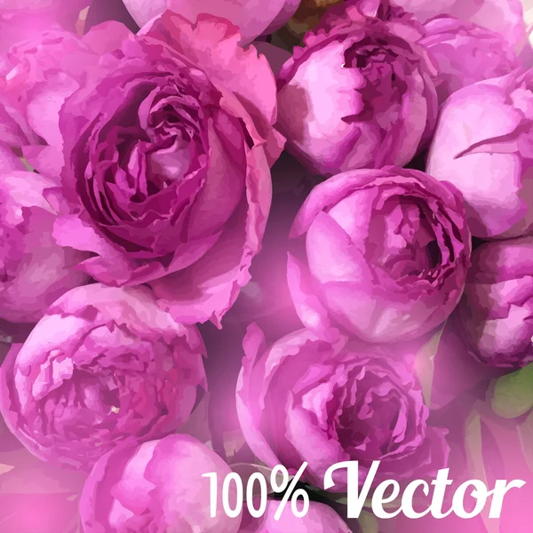 Tarjeta vectorial con rosas peonias. Boda, saludo o diseño de tarjetas de cumpleaños — Archivo Imágenes Vectoriales