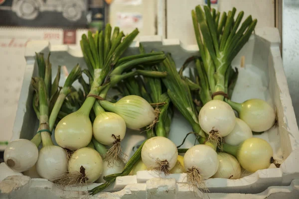 Φρέσκα λαχανικά για την αγορά κρεμμύδι — Φωτογραφία Αρχείου