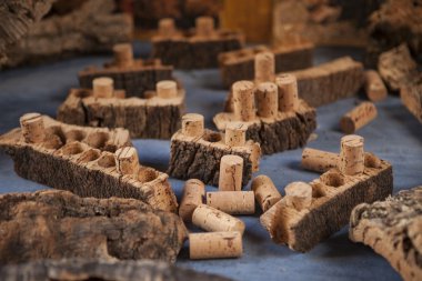 Ahşap mantar ve şarap cork