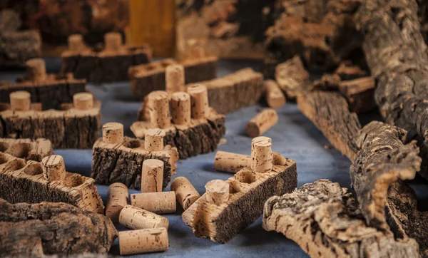 Cork wood and cork for wine — Stock Photo, Image