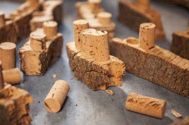 Ahşap mantar ve şarap cork