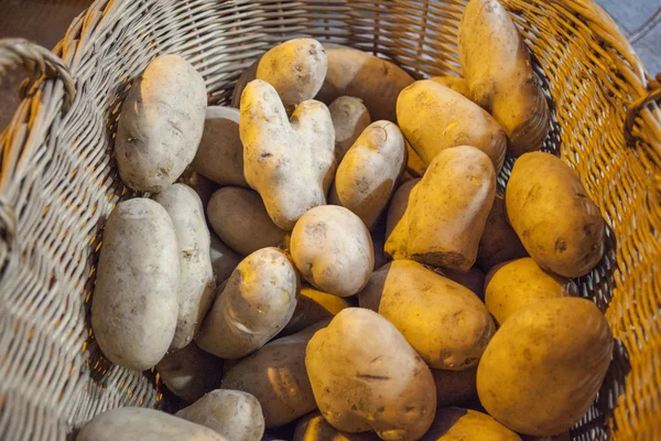 Large fresh potato in a beautiful basket basket — Stock Photo, Image