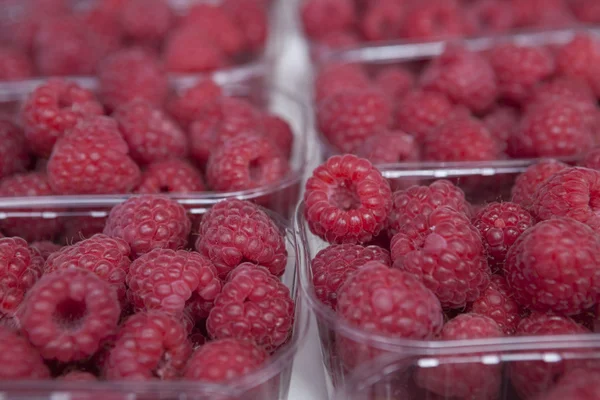 Frische saftige Himbeere auf dem Markt — Stockfoto