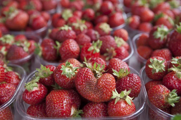 Fresh juicy strawberry on the market — Stock Photo, Image