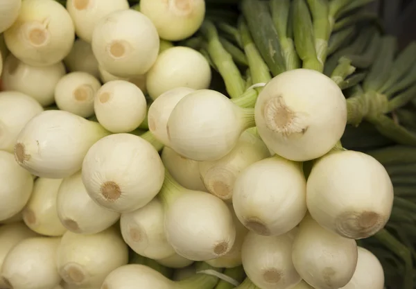 Frische, saubere Zwiebeln auf dem Markt — Stockfoto