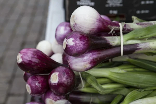 Fresh clean  onion on the market — Stock Photo, Image