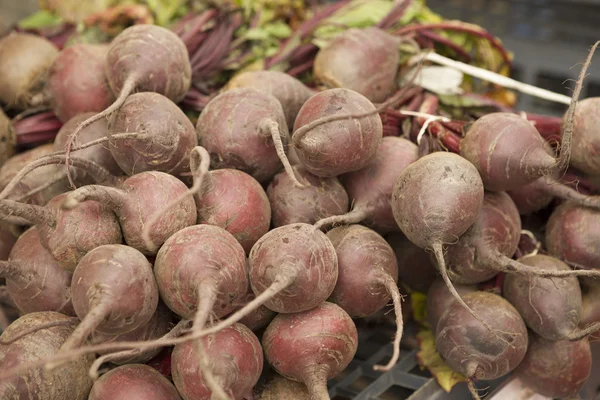 Fresh clean  beet on the market — Stock Photo, Image