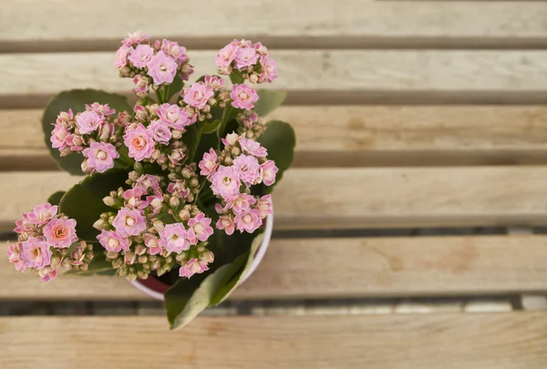 Ramo de flores silvestres frescas en una canasta —  Fotos de Stock