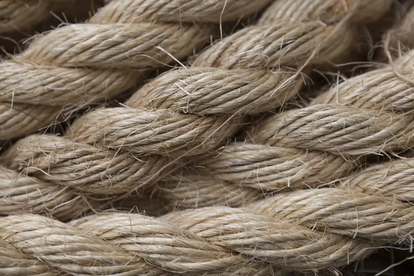 Close-up of marine ropes and knots — Stock Photo, Image
