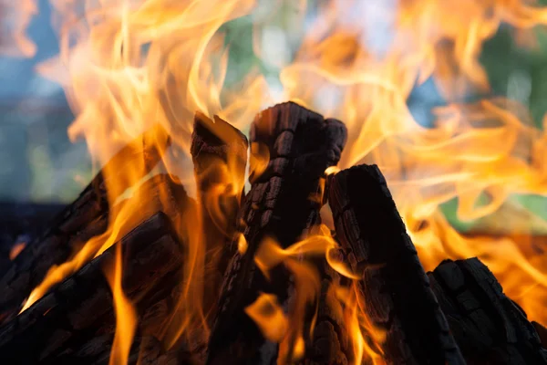 炎中の炭化木片の美しい火 — ストック写真