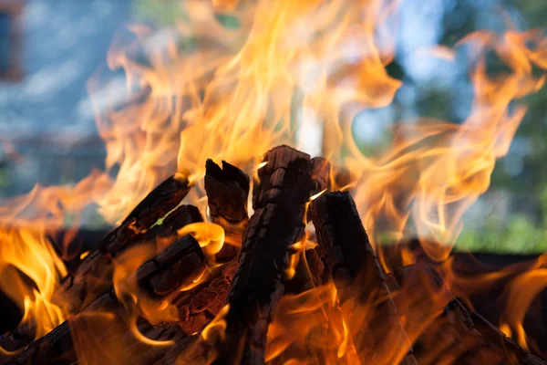 Beautiful fire with flames charred wood — Stock Photo, Image