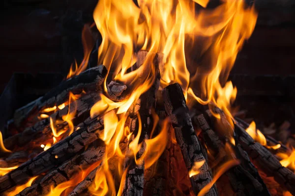 炎中の炭化木片の美しい火 — ストック写真