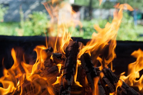 Beau feu avec des flammes bois carbonisé — Photo