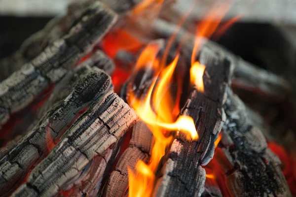 Beau feu avec des flammes bois carbonisé — Photo