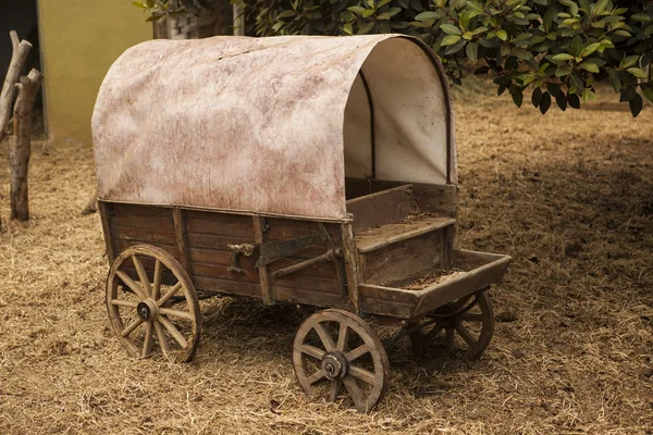 Παραδοσιακό παλιό αμερικανικό βαγόνι με μια στέγη. — Φωτογραφία Αρχείου