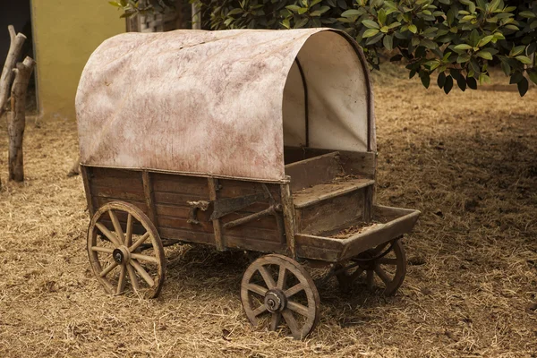 Traditional old American wagon with a roof. — Stock Image Traditional old American wagon with a roof. Stock Image