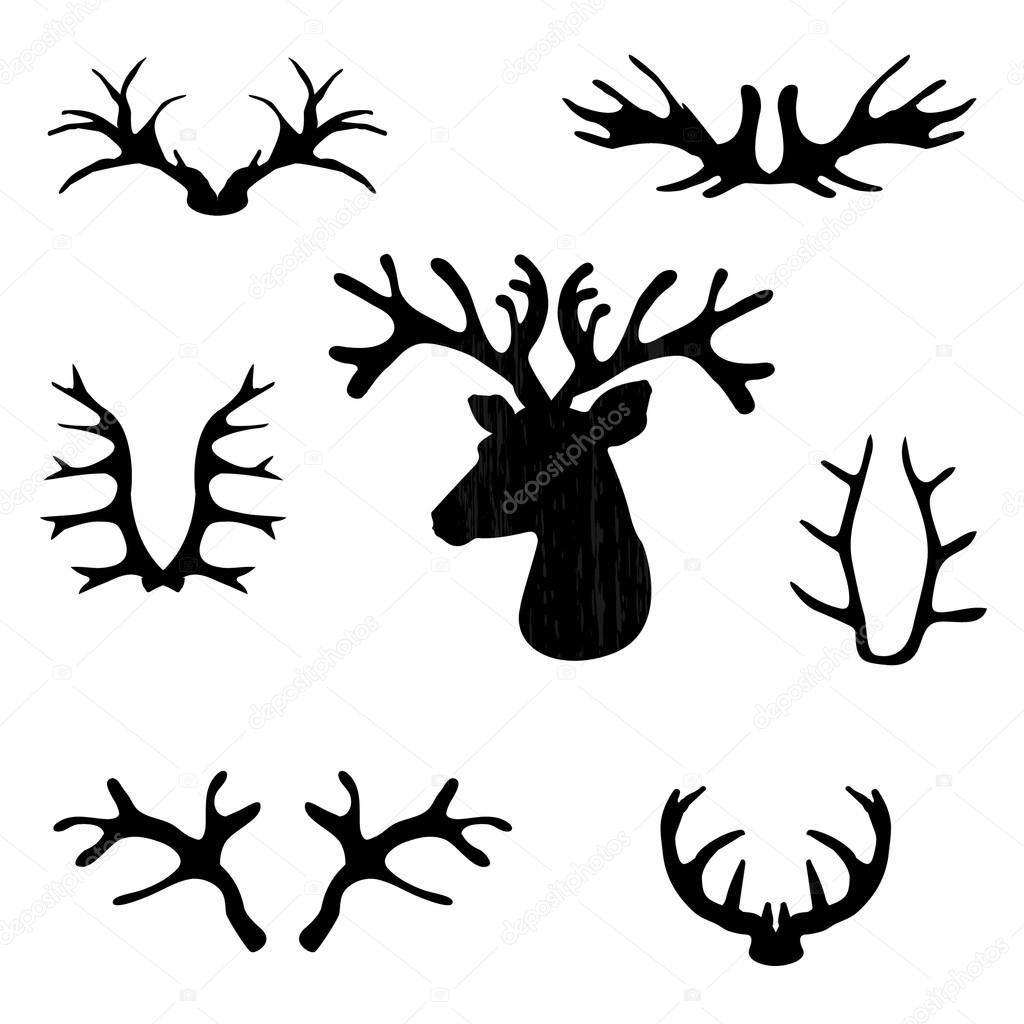 Set of black deer antlers on white backrtoun