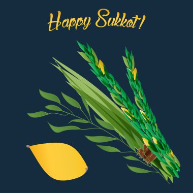Dört tür - palm, willow, myrtle, limon - semboller Yahudi tatil Sukkot Vetor çizimi.