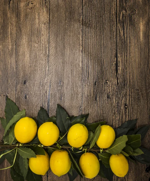 Cabang segar jus Sisilia lemon pada latar belakang kayu — Stok Foto