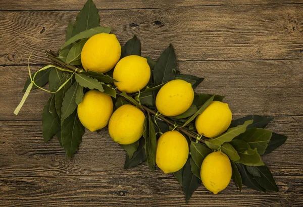 Branch af friske saftige sicilianske citroner på en træbaggrund - Stock-foto