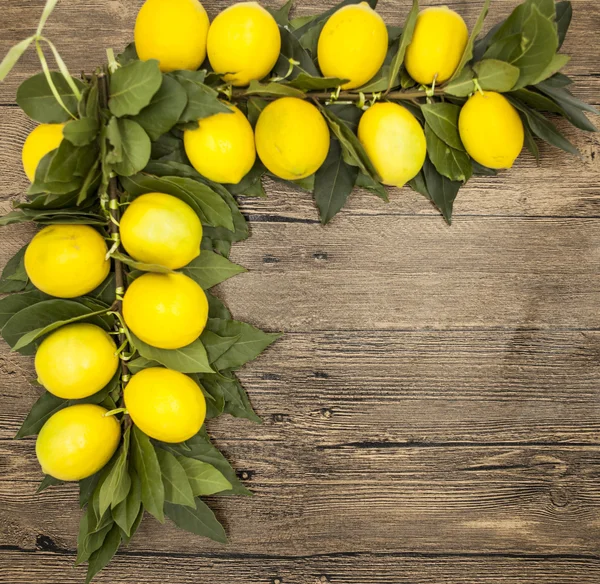 Ramo di limoni siciliani freschi e succosi su fondo ligneo — Foto Stock