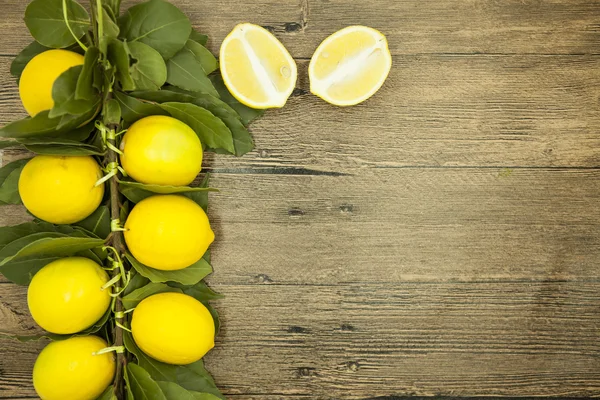 Branch af friske saftige sicilianske citroner på en træbaggrund - Stock-foto