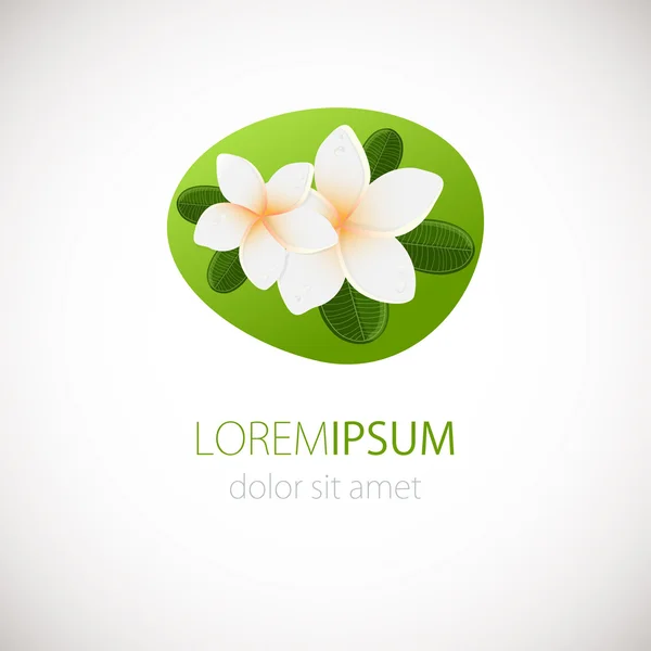 白いプルメリアの花のロゴタイプ。緑の葉と白いの 2 つプルメリア花のベクトル図です。スパや美容センターのロゴ — ストックベクタ