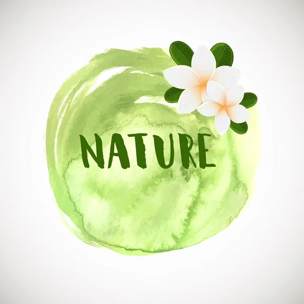 Logotype fleur plumeria blanche. Illustration vectorielle de deux fleurs blanches de Frangipani aux feuilles vertes. Logo Spa ou centre de beauté — Image vectorielle