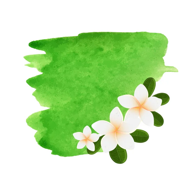 Logo de la flor de la plomería blanca. Ilustración vectorial de dos flores blancas de Frangipani con hojas verdes. Logo del spa o centro de belleza — Archivo Imágenes Vectoriales
