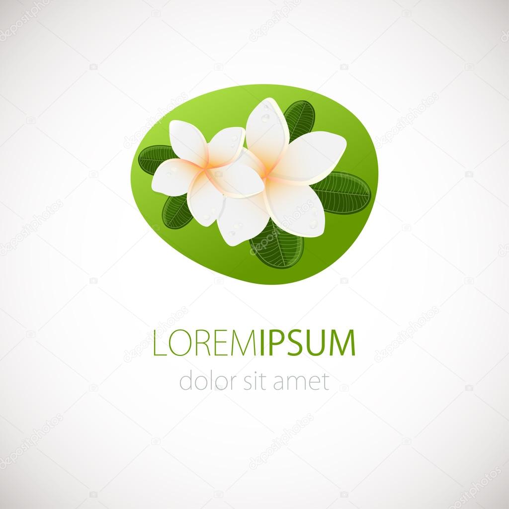 White plumeria flower logotype. Vector illustration of white Two