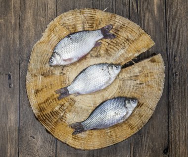 Ahşap kütük üzerinde yalan taze çiğ balık sazan yakaladım. Balık havuz Carassius hava gibelio yaşamak.