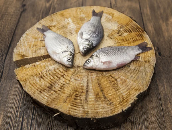 Ponty friss nyers halat fogott, feküdt egy fából készült csonkot. Élő hal Kárász Carassius auratus gibelio. — Stock Fotó